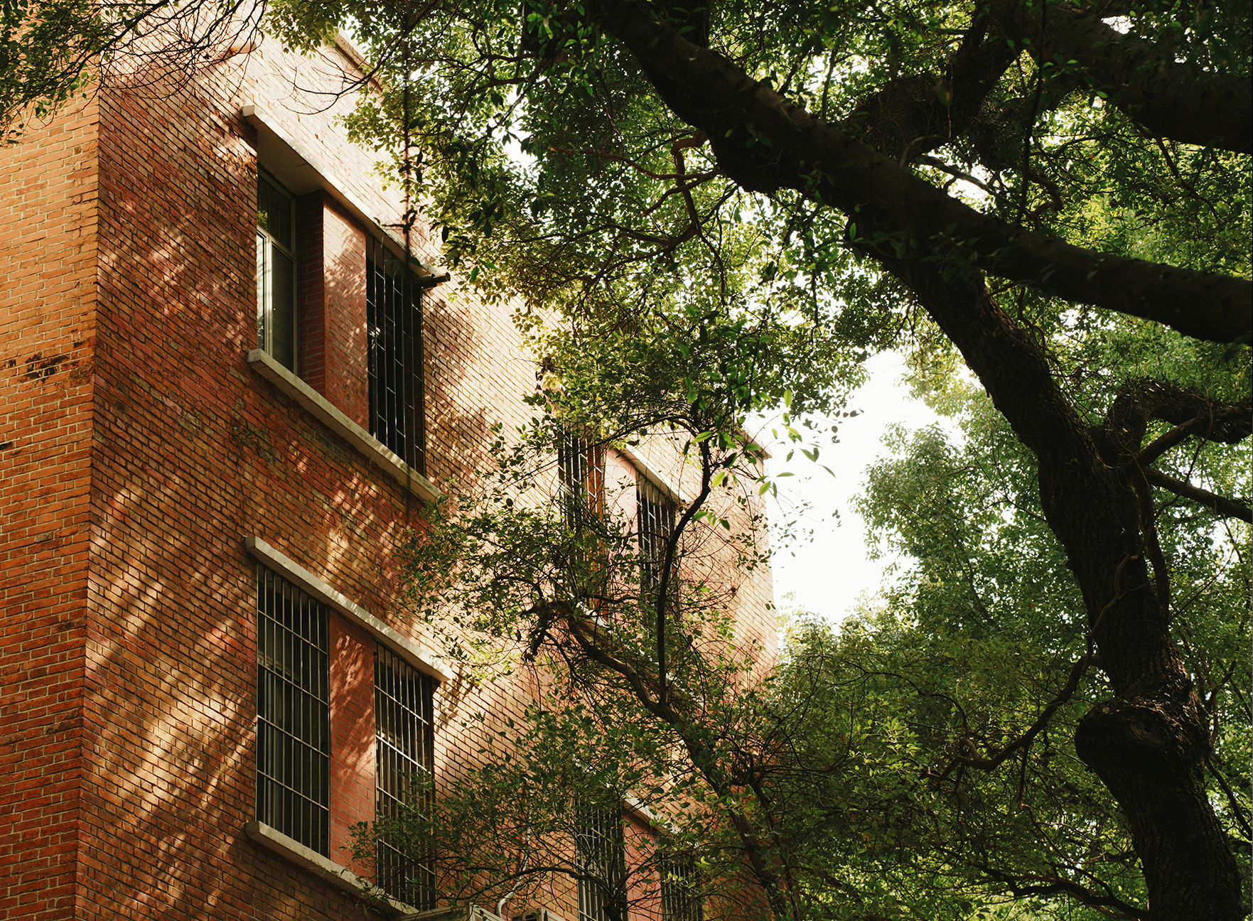 Williamsburg's sense of place feels singular yet familiar.