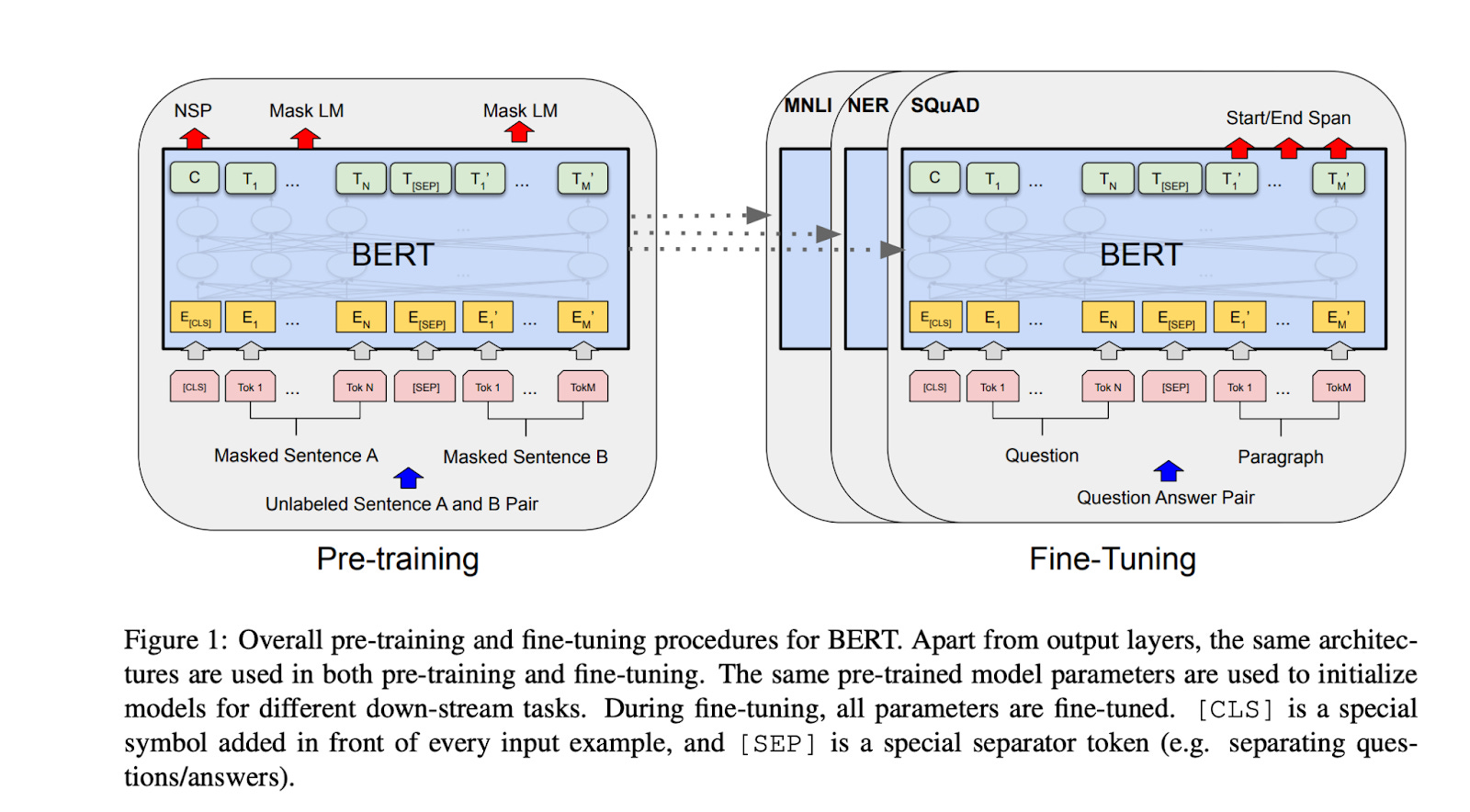 An illustration of the pre-training and fine-tuning procecures