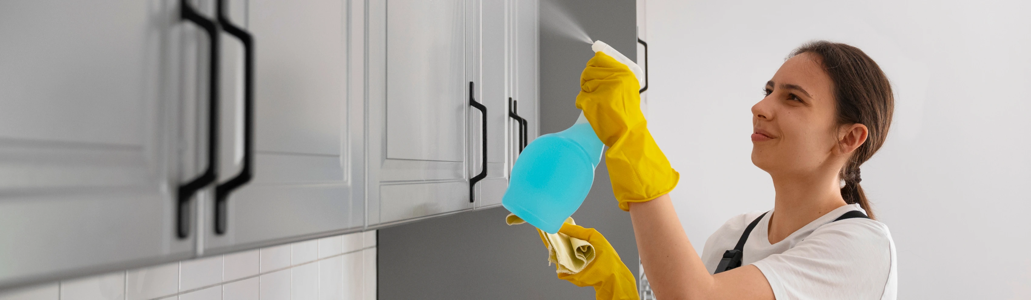 ZEZ Cleaning Phoenix service