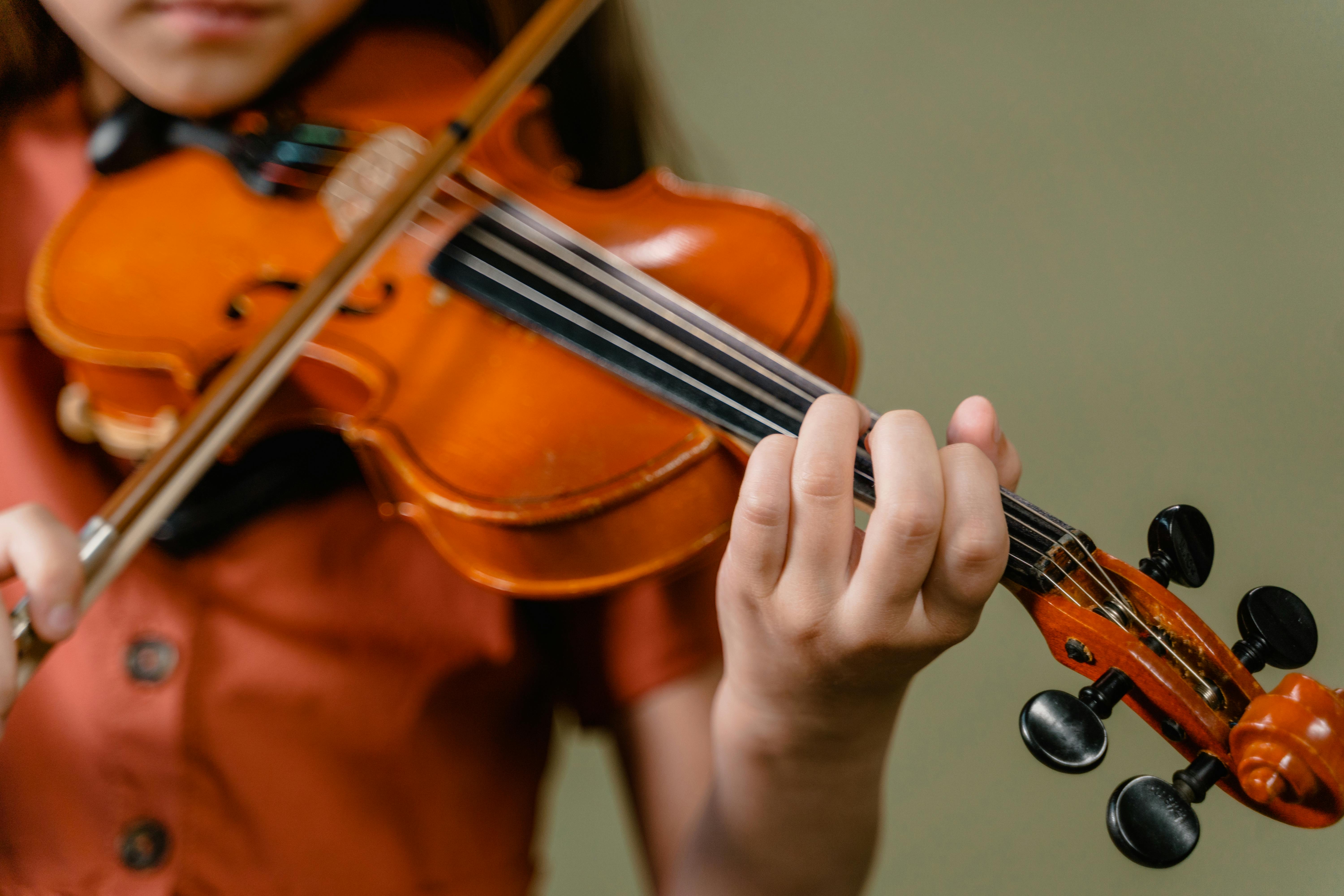 What Makes Good Violin Wood?
