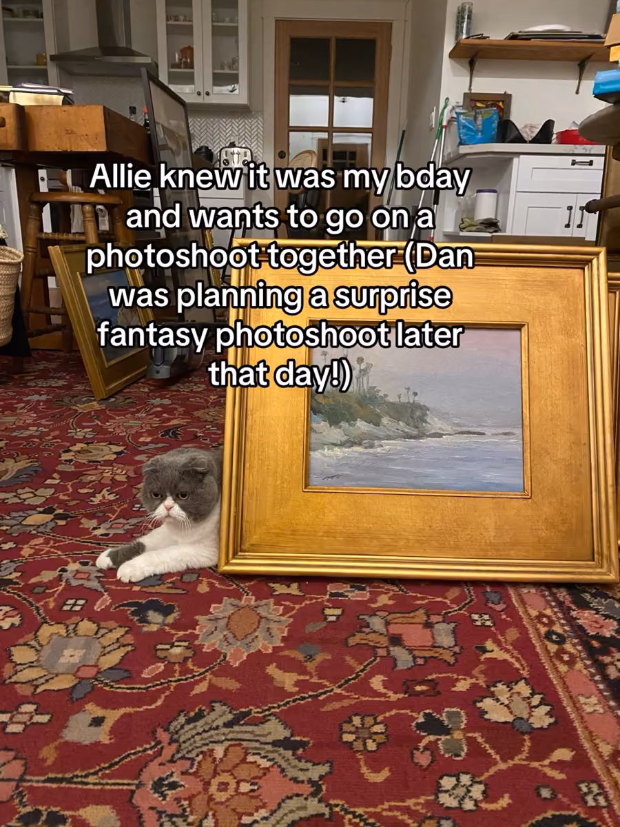 Gray and white cat lying on a red floral carpet next to a framed landscape painting indoors.