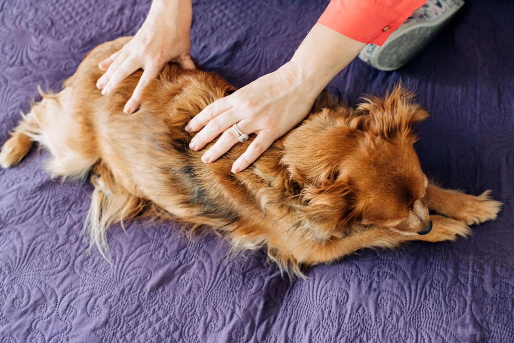 Kara with her hands on her dog Liberty.