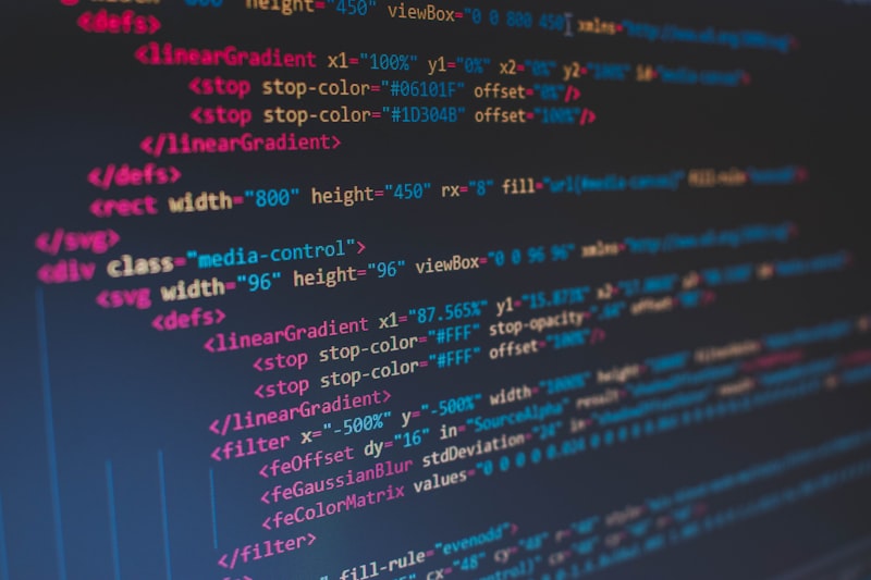 Top 5 Programming Languages to Learn in 2026
