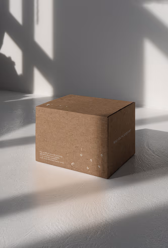 A brown cardboard mailing box placed in soft natural light with shadows cast across the surface. Minimal white typography and branding elements are printed directly onto the packaging, emphasizing a simple and understated presentation.
Mockup by Mockup.Maison