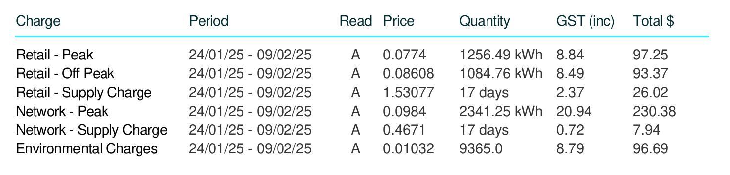 Table listing electricity charges with columns for Charge type, Period from 24/01/25 to 09/02/25, Read A, Price per unit, Quantity, GST included, and Total cost in dollars.