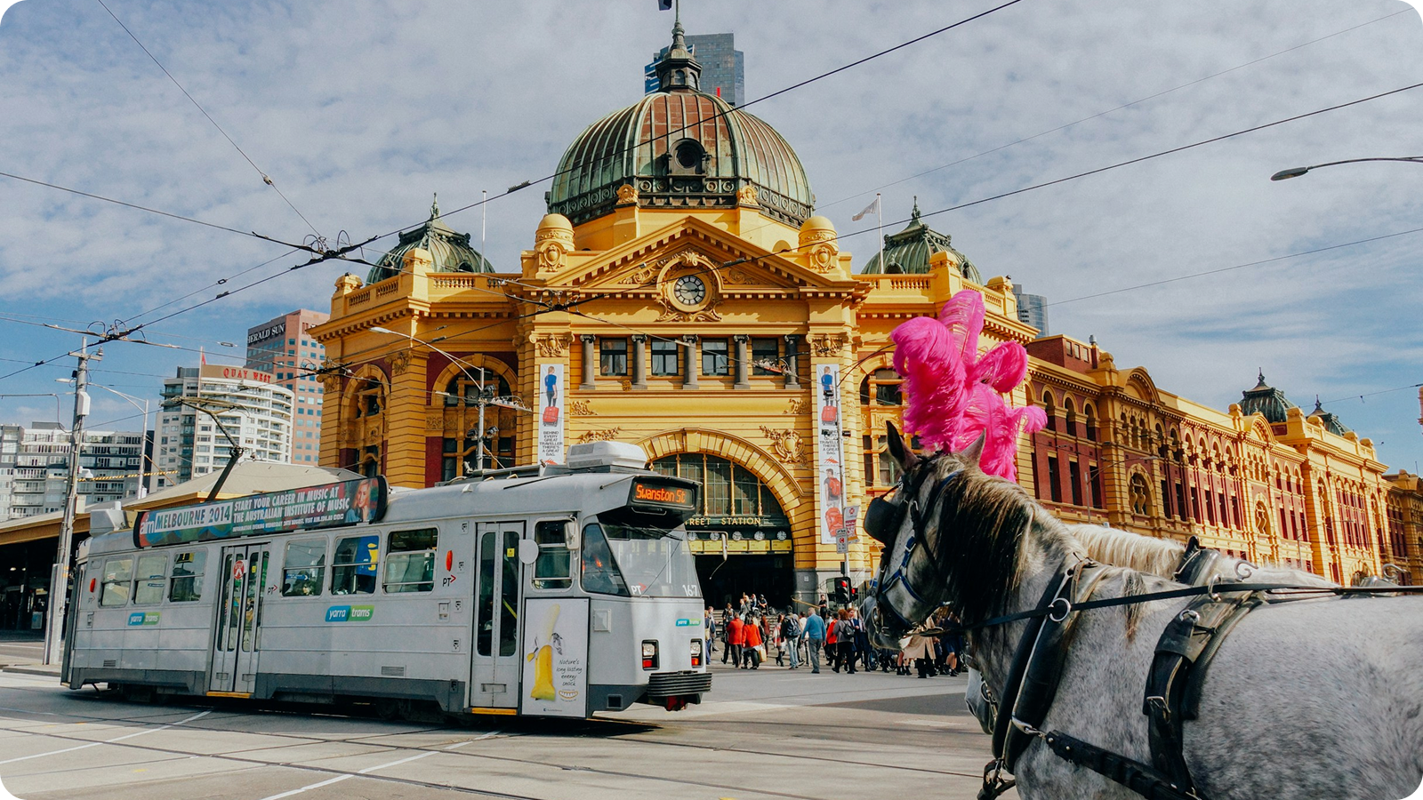 Classic Melbourne tram passing in front of the historic yellow Flinders Street Station with a horse wearing bright pink feather plumes in the foreground.