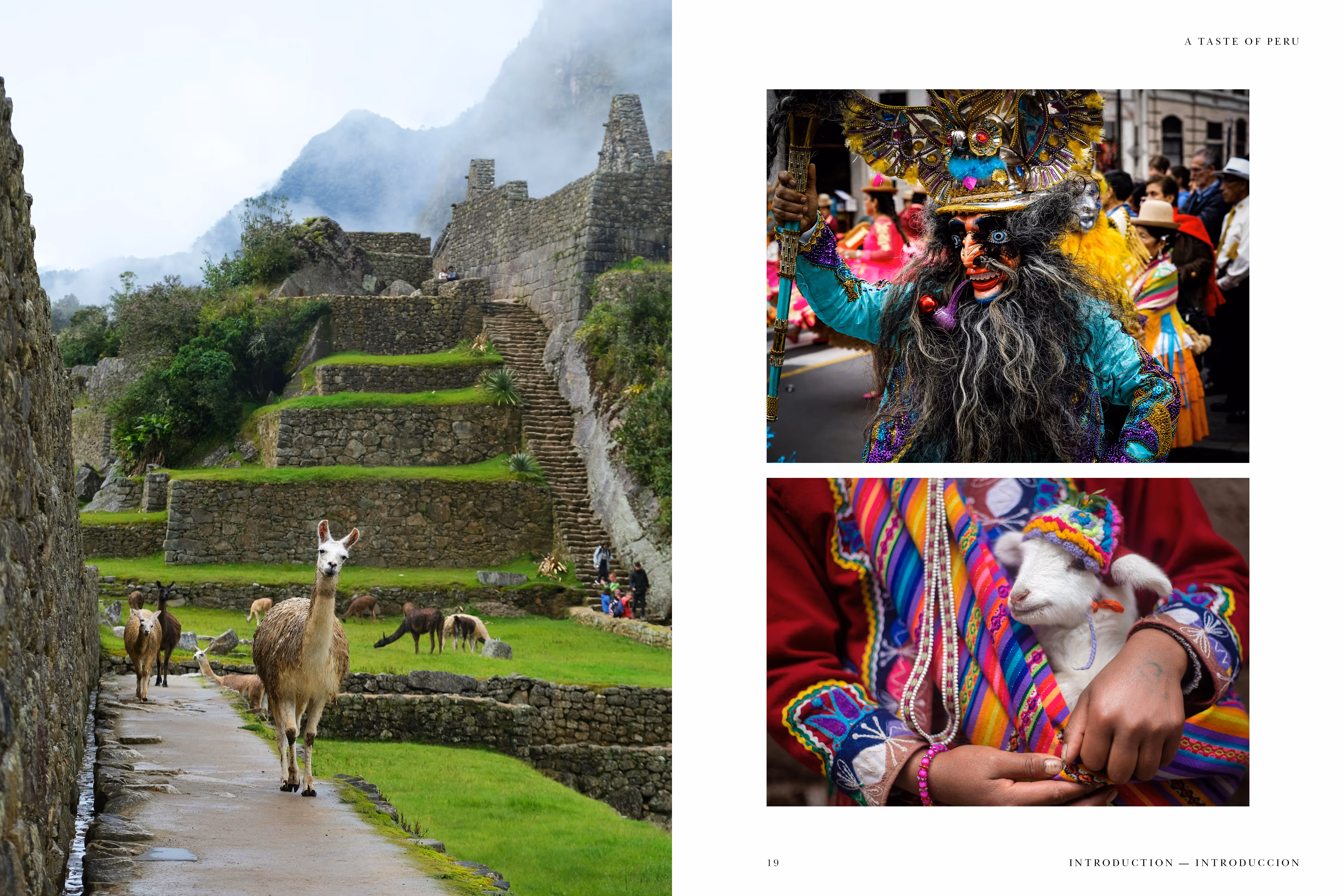 Cookbook: Introduction, life in Peru. Visual spreads