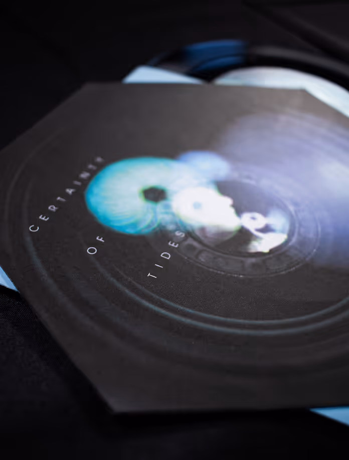 Vinyl close-up photo.