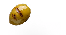 Close-up of a single green olive with pits on a white background.