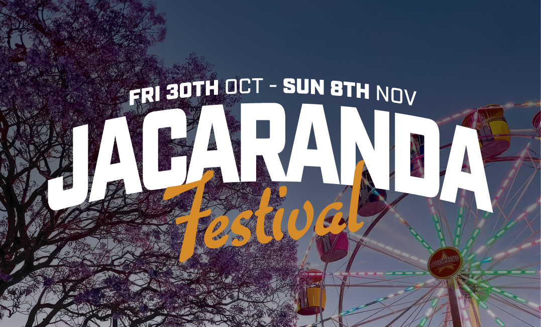 Jacaranda Festival