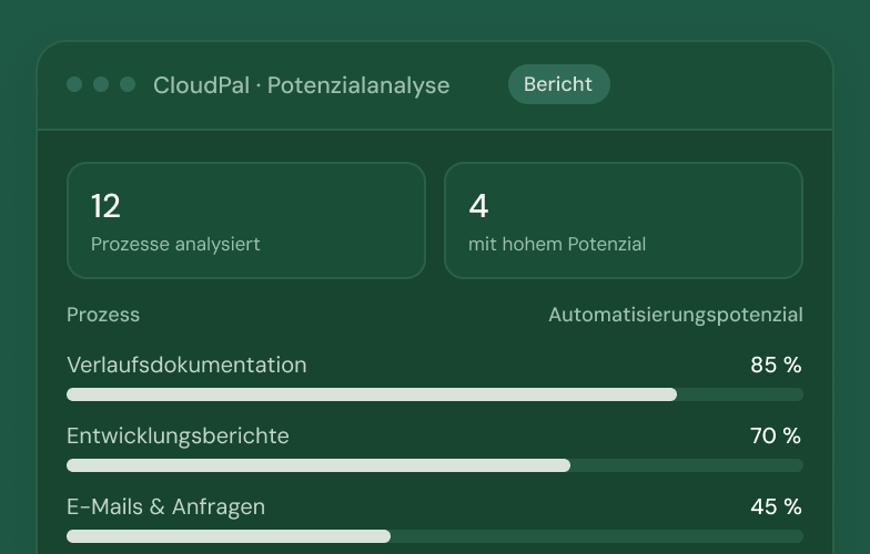 CloudPal Potenzialanalyse: 12 Prozesse analysiert, 4 mit hohem Potenzial