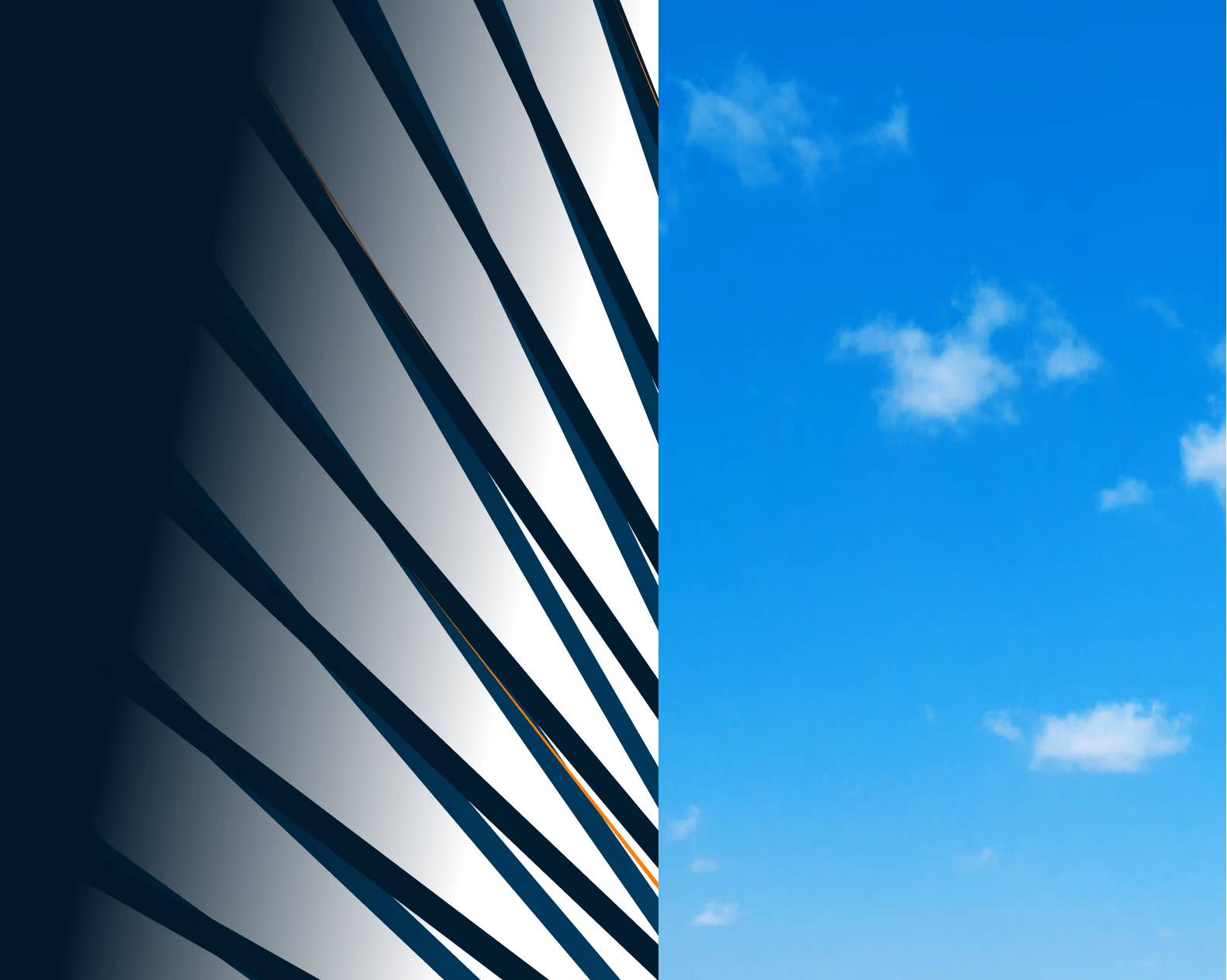 Close-up of dark palm leaves on the left with a bright blue sky and scattered clouds on the right.
