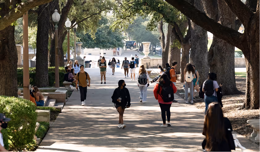 Students walk and sit along a tree-lined paved path on a sunny college campus.