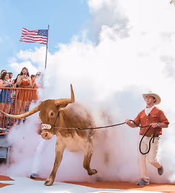 Person in a cowboy hat leading a longhorn steer through smoke with a waving US flag in background.