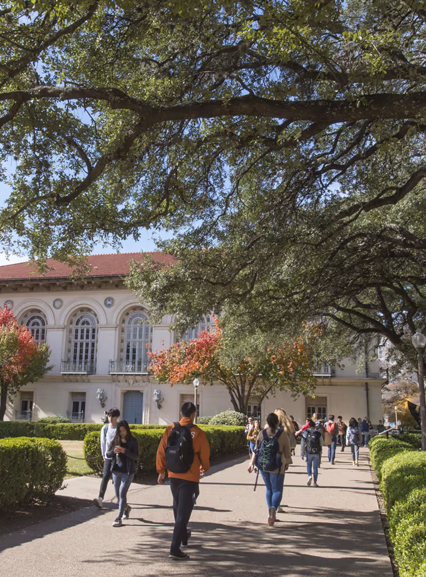 Students walking along a tree-lined path toward a large building with arched windows on a sunny day.
