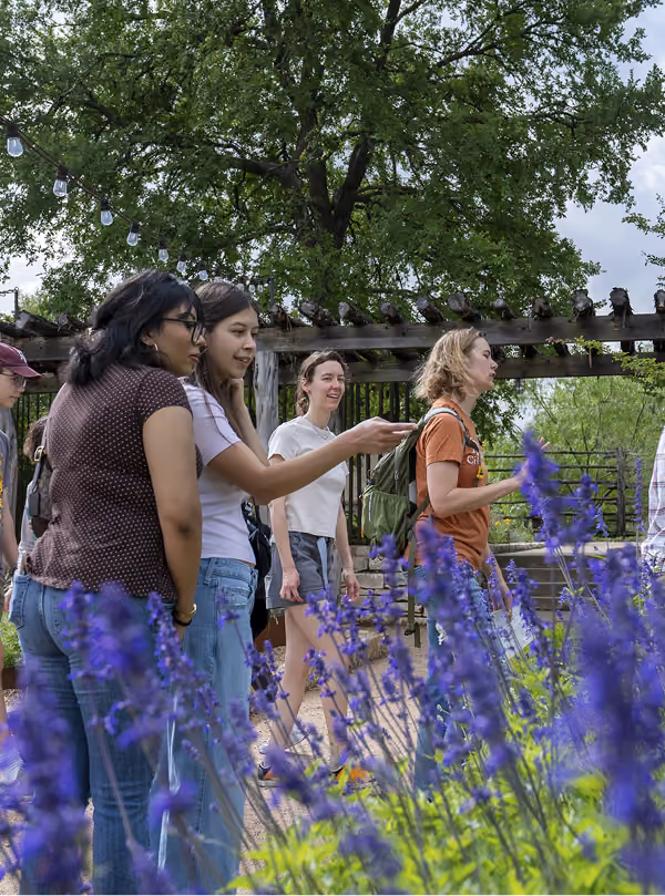 Group of young people observing purple flowers outdoors under a tree and pergola on a sunny day.