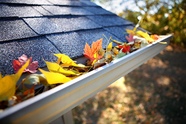Gutters filled with leaves