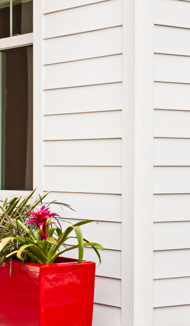 Siding Styles & Options