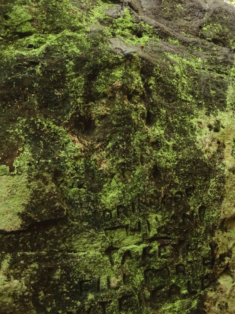 Alderley Edge Cheshire landscape