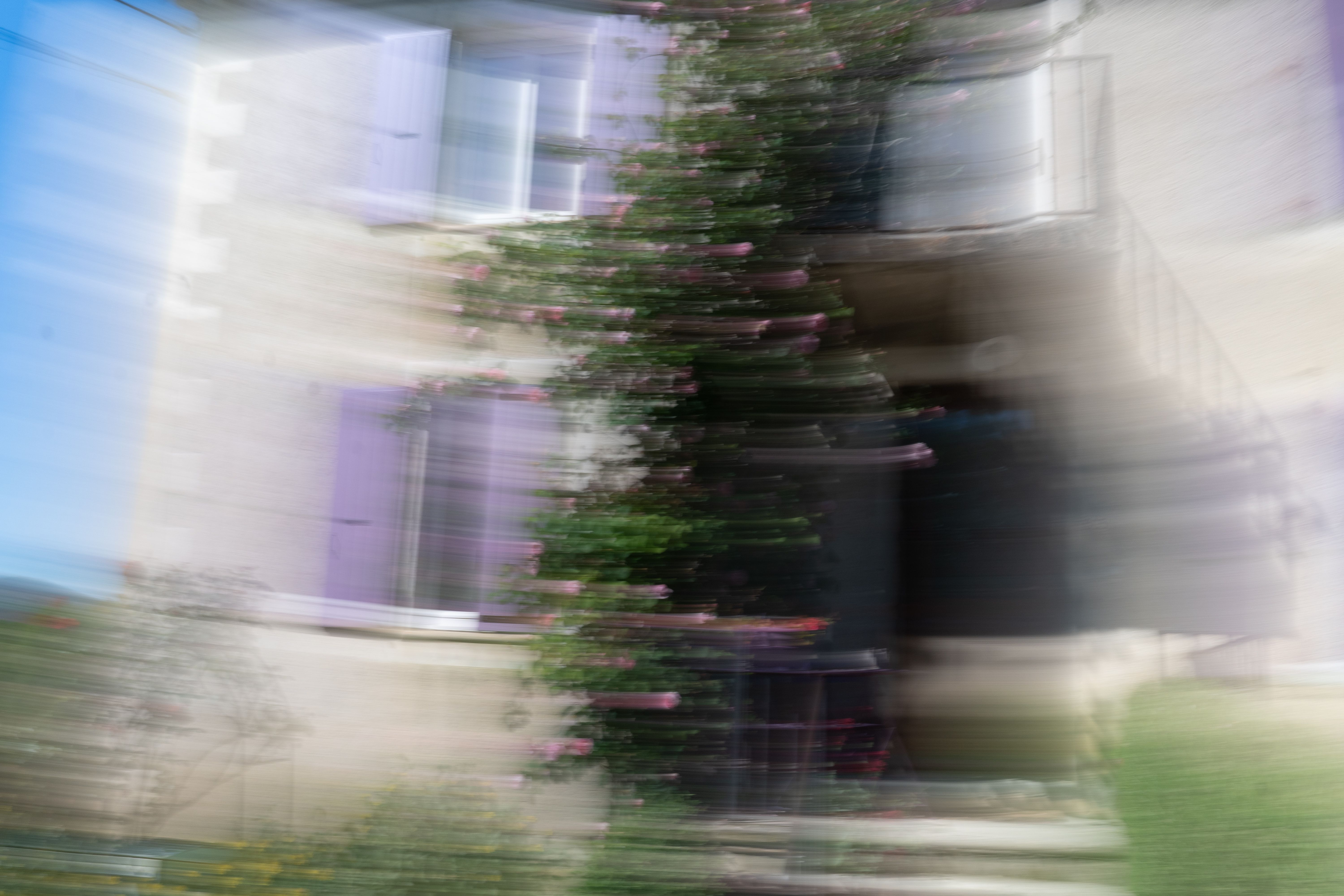 Two people bending over in a grassy field, one holding yellow flowers, image is blurred with motion effect.