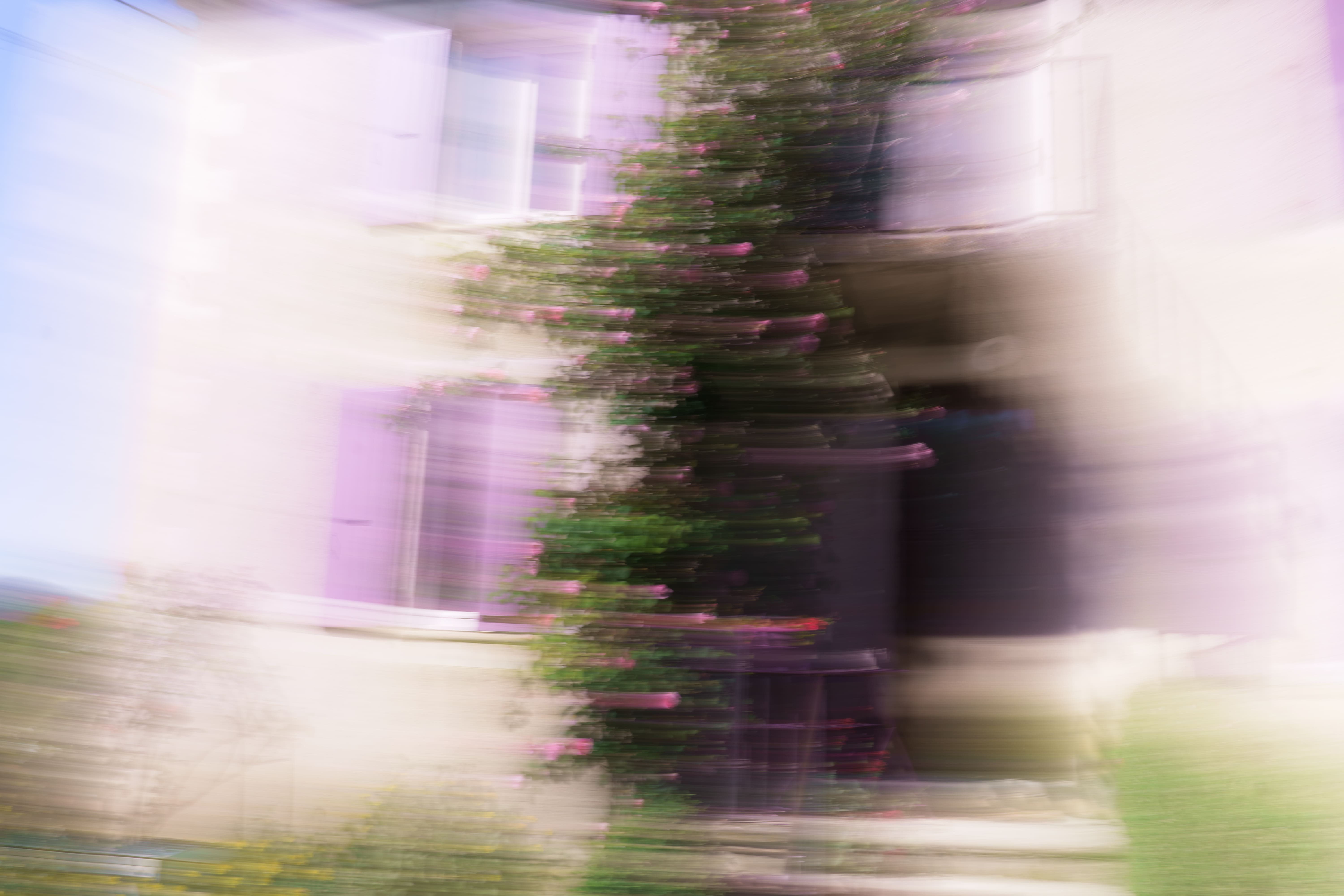 Two people bending over in a grassy field, one holding yellow flowers, image is blurred with motion effect.