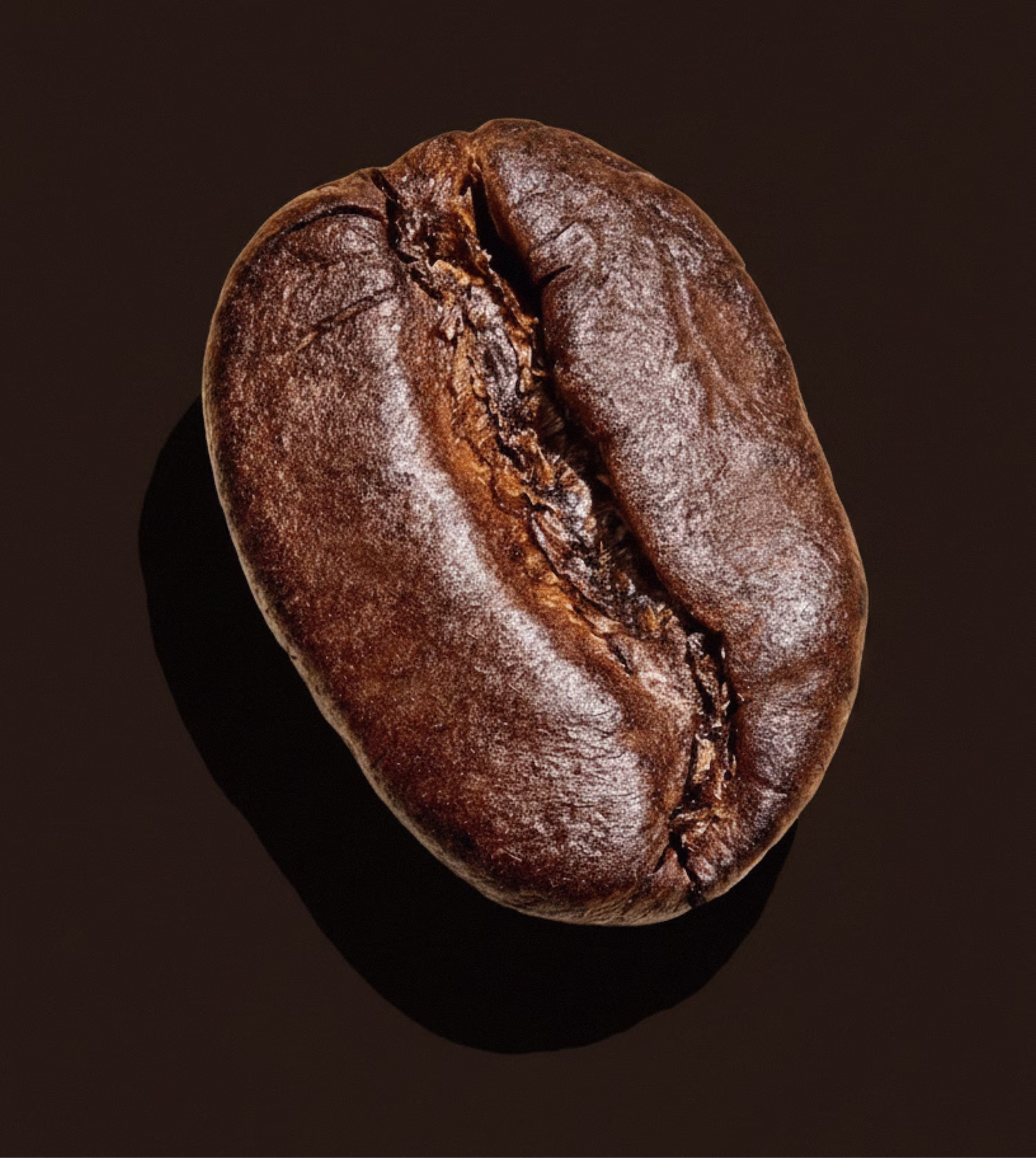 Close-up of a single roasted coffee bean on a dark background.