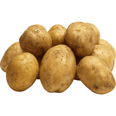 Patata