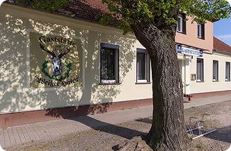 Außenansicht eines Gasthauses mit einem Baum und dem Schild 'Gasthaus Weißer Hirsch'.