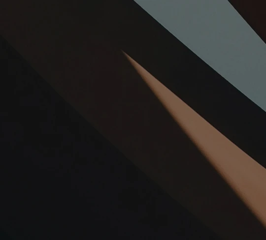 Mega menu image