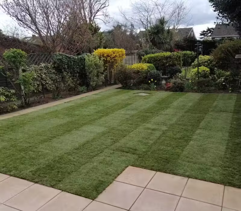 Turfing in Surrey