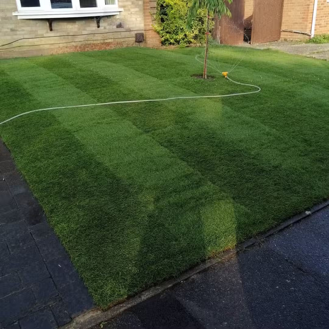 New lawn installation with turfing in Worthing, West Sussex