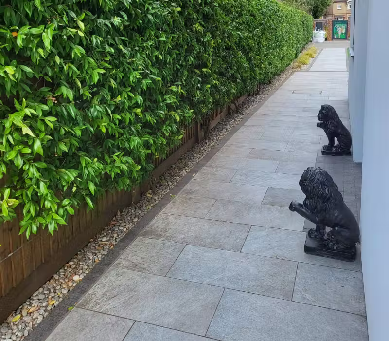 Shrub care and clean patio in Surrey