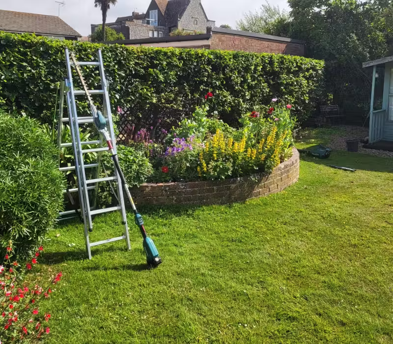 Hedge, borders and lawn in West Sussex