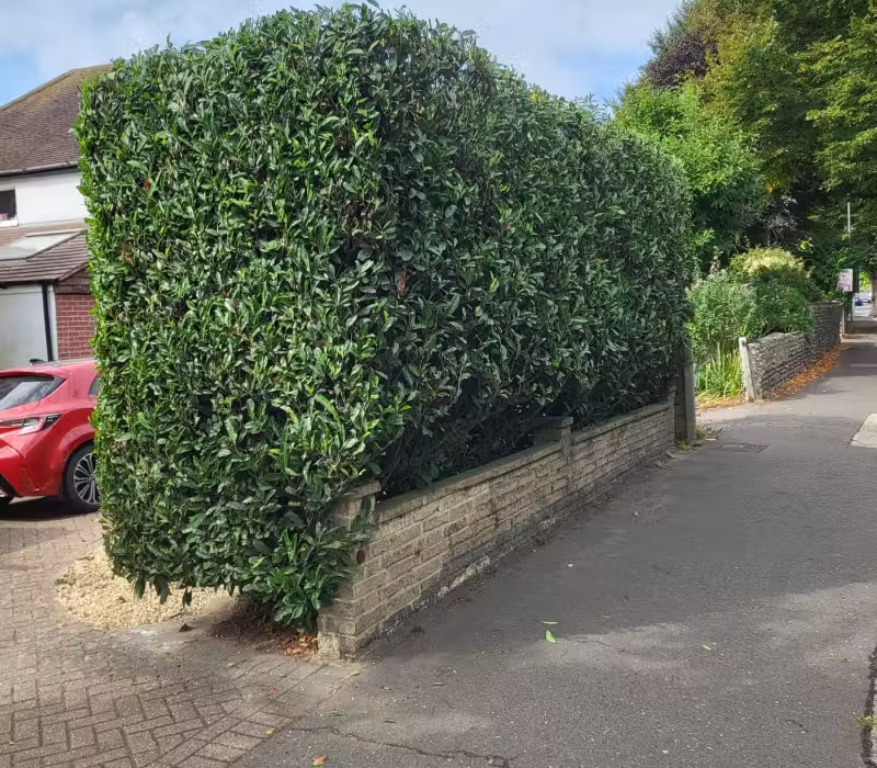 Hedge trimming in West Sussex
