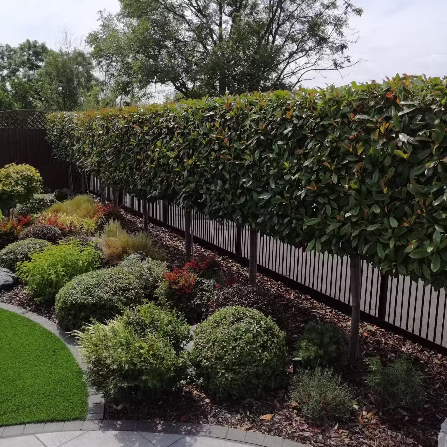 Beautiful planting scheme featuring trimmed shrubs, flowers and trees in West Sussex by Casteldine Landscapes