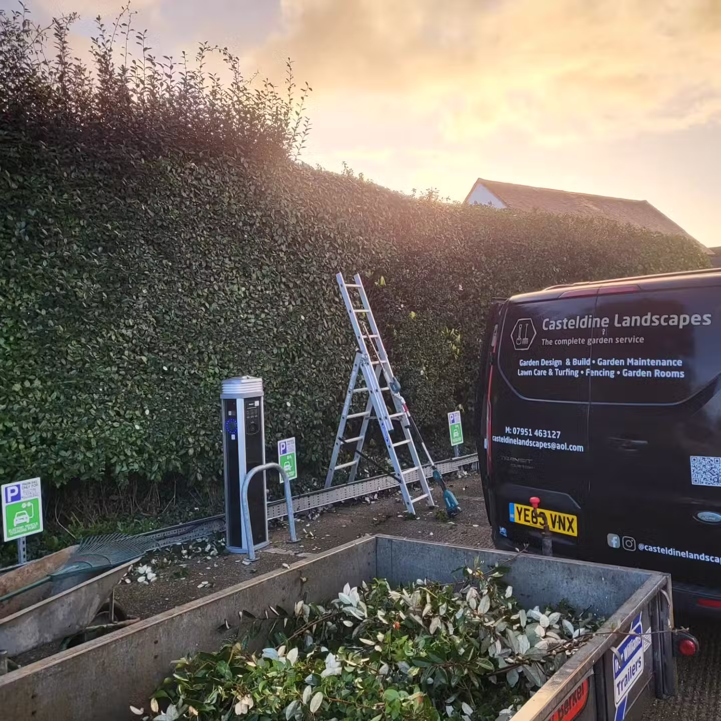 Professional hedge trimming and shaping in Brighton and Hove by Casteldine Landscapes