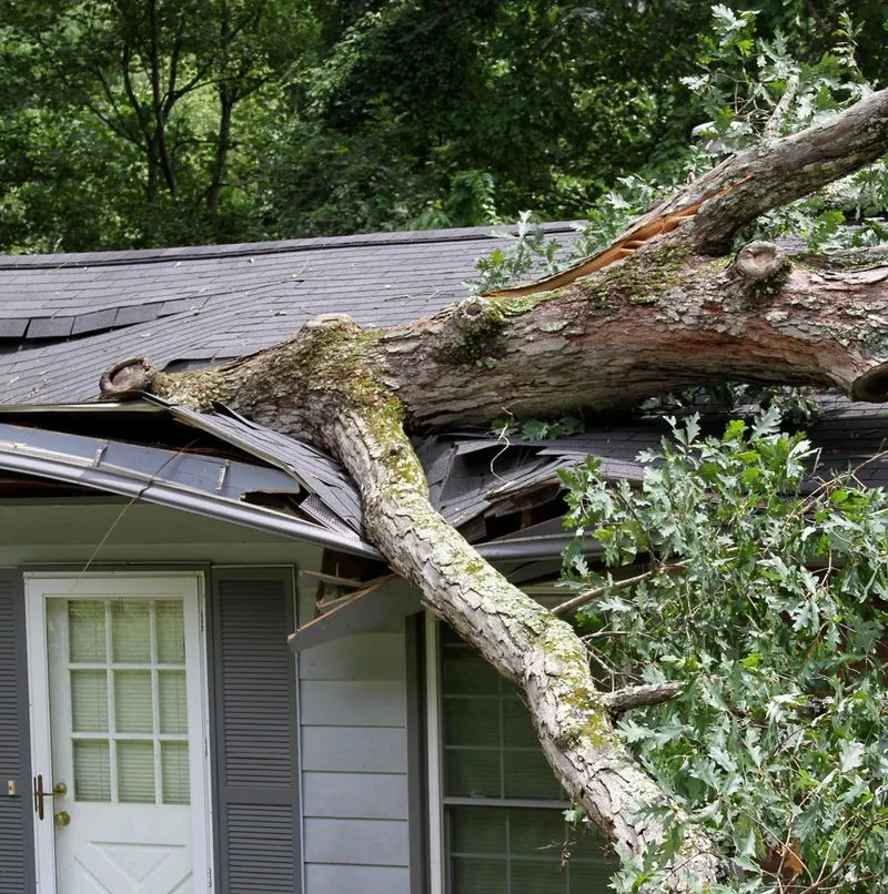 roof collapse from tree in storm damage