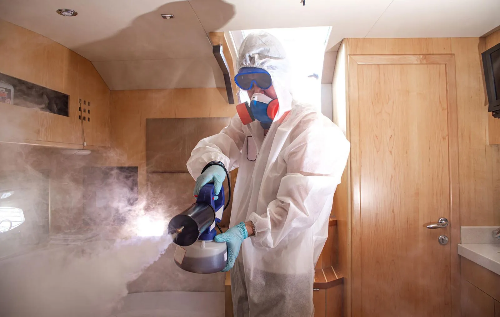 pest control mold removal