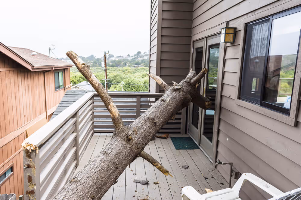 tree on deck from storm