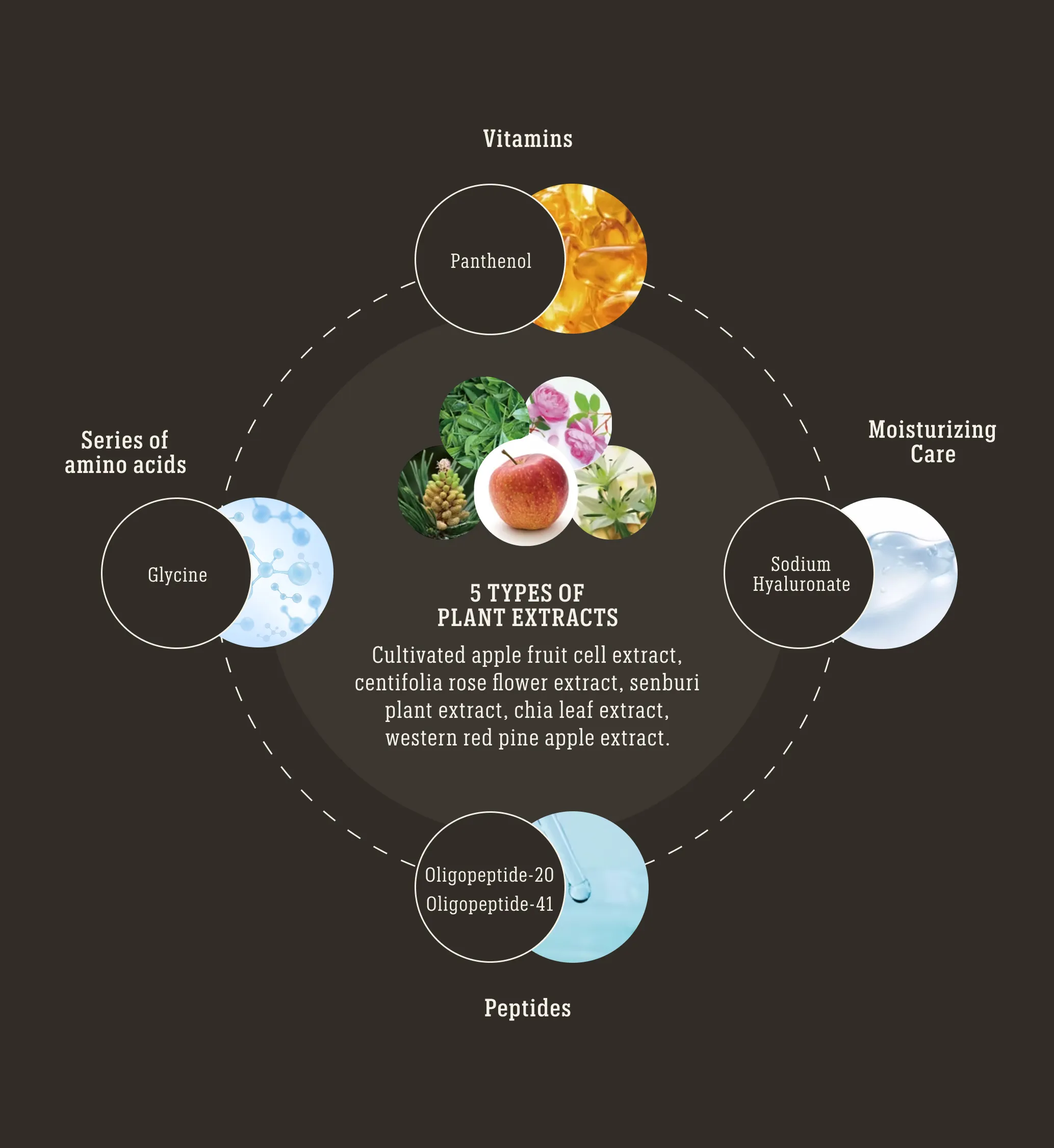 Diagram showing vitamins, amino acids, moisturizing care, peptides, and five plant extracts including apple and rose.