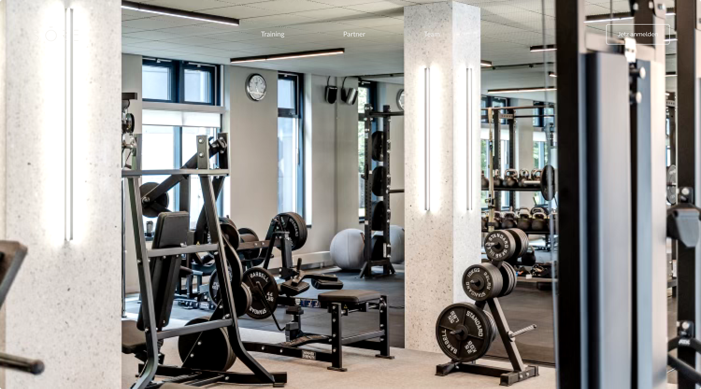 Modern gym interior with weightlifting machines, free weights, and large windows with natural light.