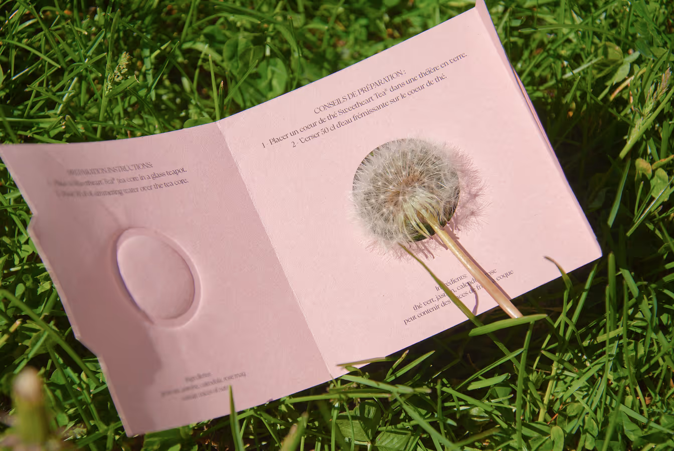 Dandelion in tea packaging hole