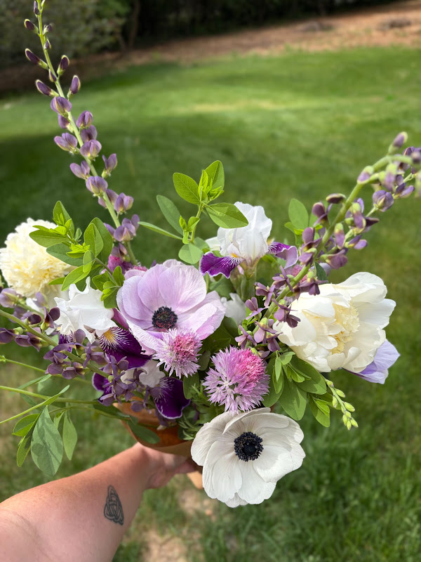 Spring sample bouquet with peonies, baptisia, bearded iris, and anemones