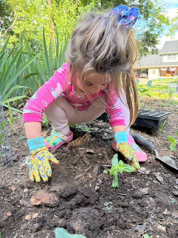 The farm at Bold North Blooms