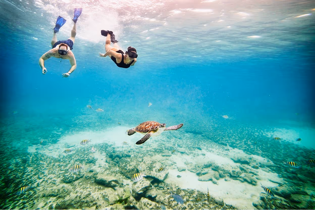 Snorkeling over a coral reef