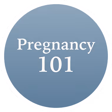 Pregnancy 101 program
