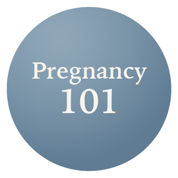 Pregnancy 101 program