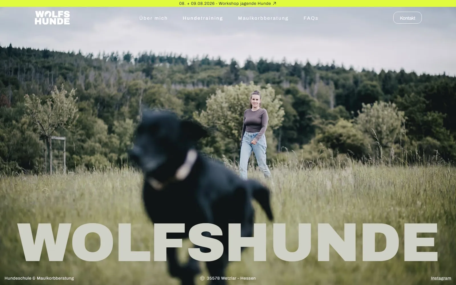 Wolfs-Hunde