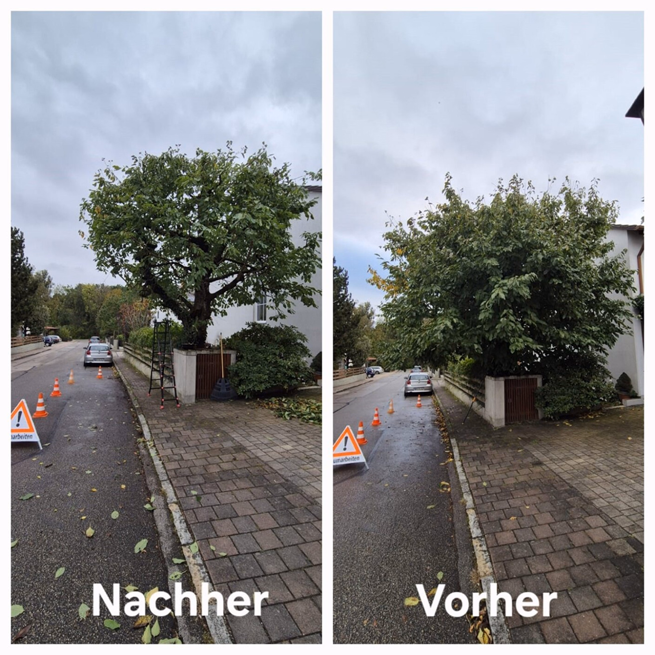Side-by-side street view.