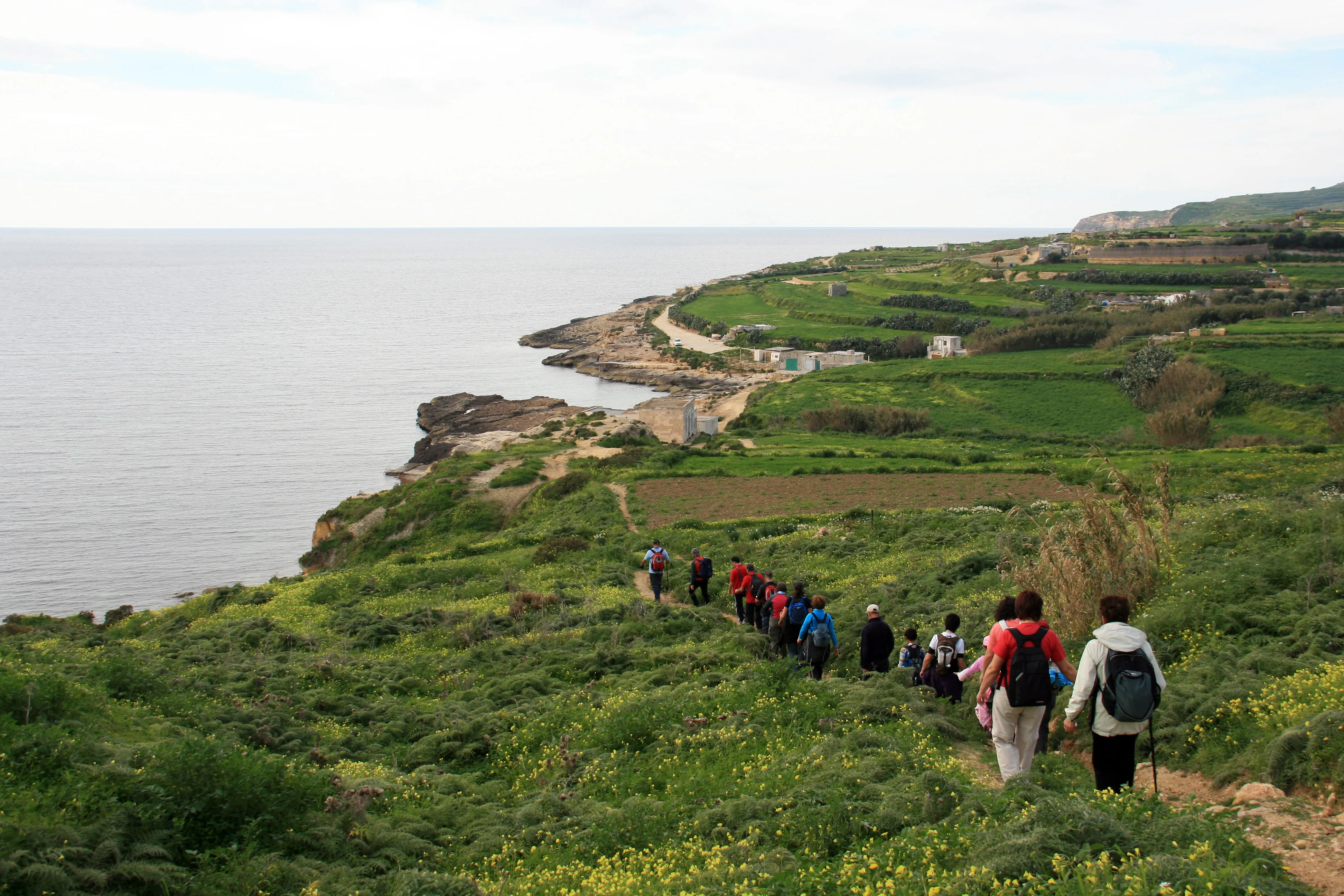 Group of hikers walking down a green coastal path near rocky shoreline and fields.